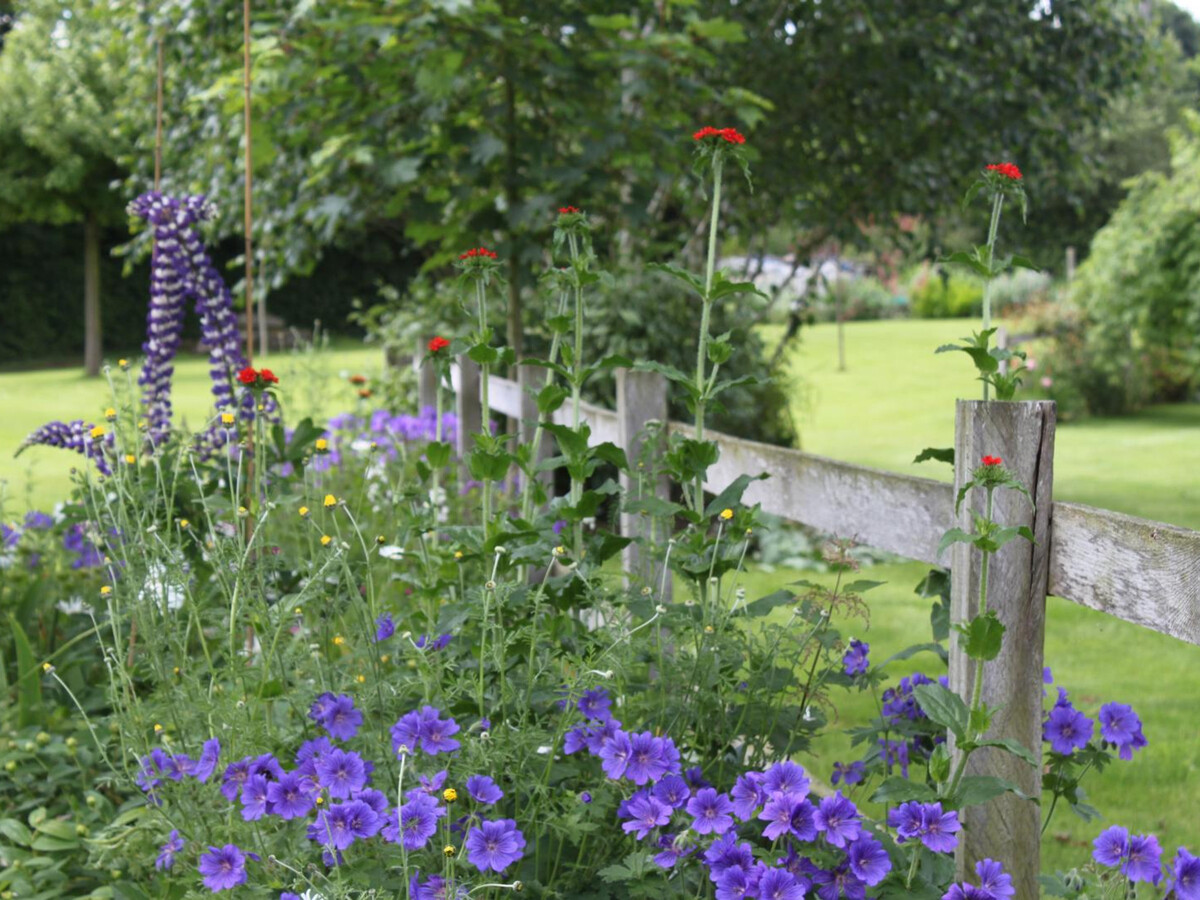 Gîte plain-pied avec jardin paysager à La Colombe - Photo 17