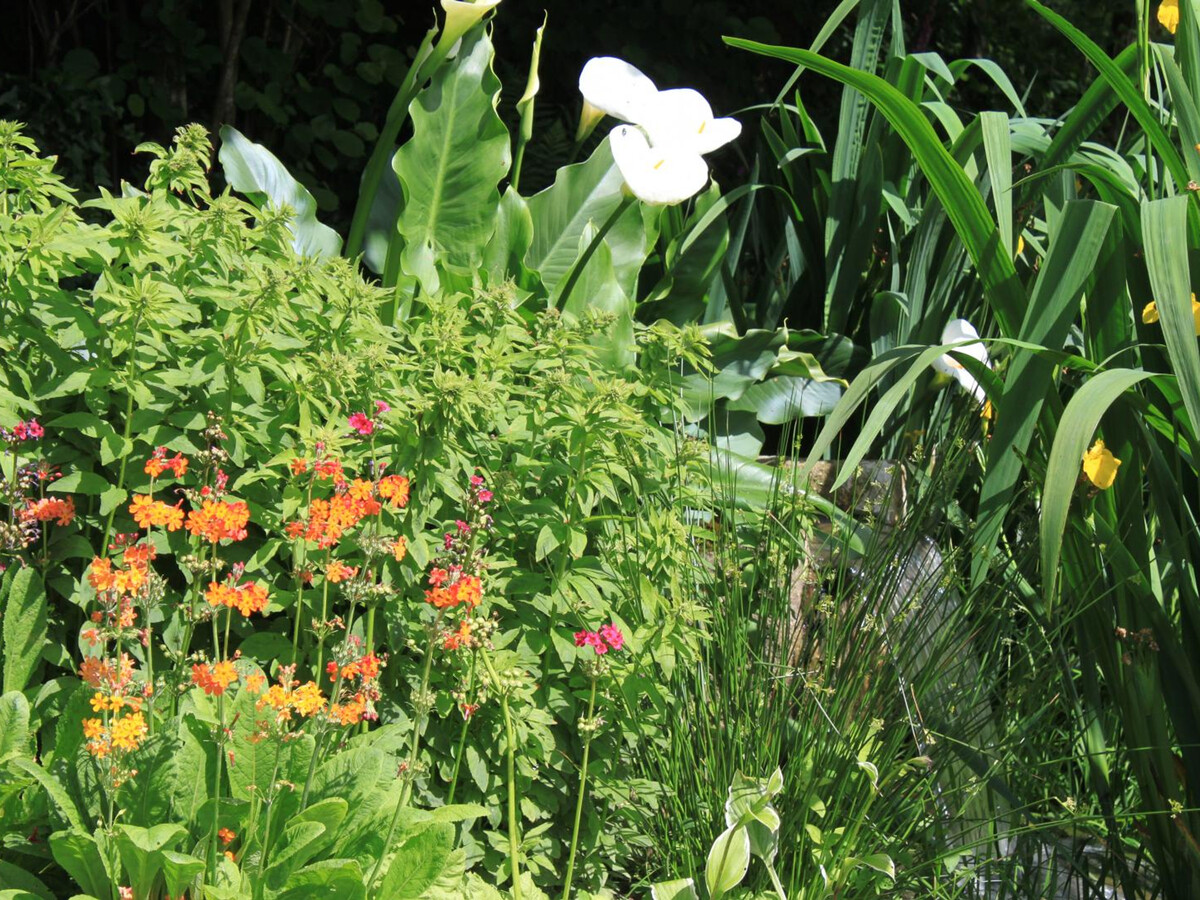 Gîte plain-pied avec jardin paysager à La Colombe - Photo 19