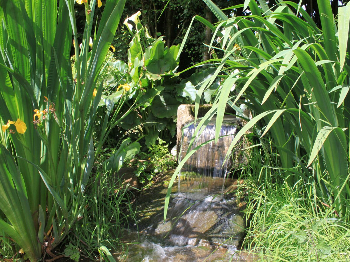 Gîte plain-pied avec jardin paysager à La Colombe - Photo 20