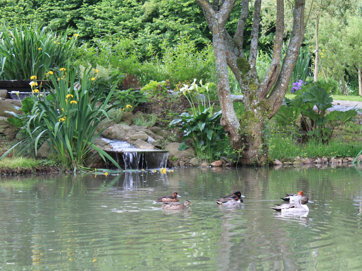 Gîte plain-pied avec jardin paysager à La Colombe - Photo 22