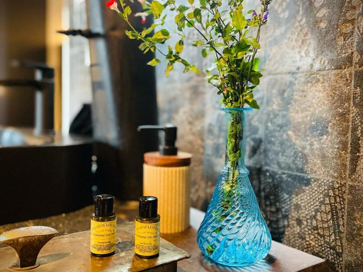 Studio avec spa et jardin à Montaigu-le-Blin - Photo 11