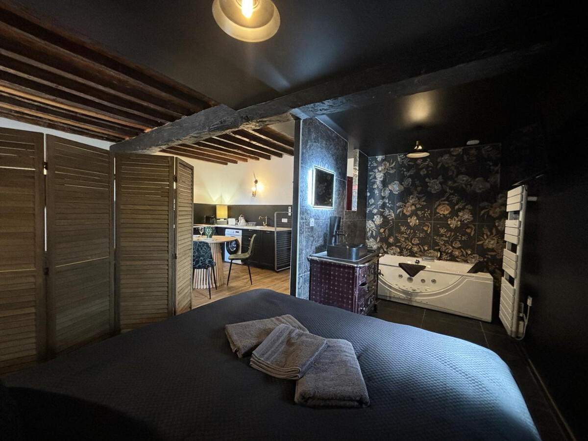 Studio avec spa et jardin à Montaigu-le-Blin - Photo 13