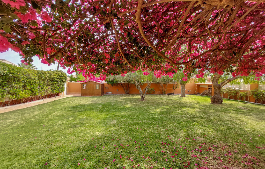Casa Buganvilla, Maison 9 personnes à Sagunto - Photo 15