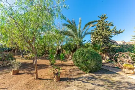 S'alqueria Rotja – Villa 10 pers. avec piscine : photo 41