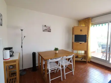 Studio cabine Port Camargue, piscine et terrasse vue port : photo 4