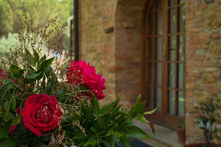 Giada, maison Montaione avec piscine et jardin - Photo 33