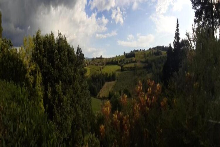 Ancienne grange toscane vue 360° à Montaione - Photo 39
