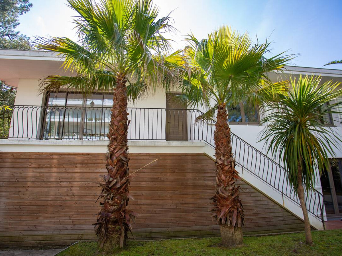 Villa rénovée 200m² spa et piscine chauffée à Hossegor - Photo 25