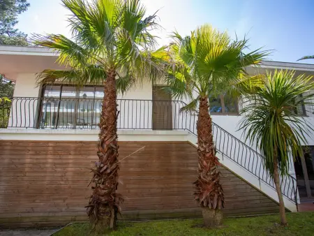 Villa rénovée 200m² spa et piscine chauffée à Hossegor : photo 25