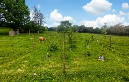 Location Maison 6 personnes à Alette - Photo 28