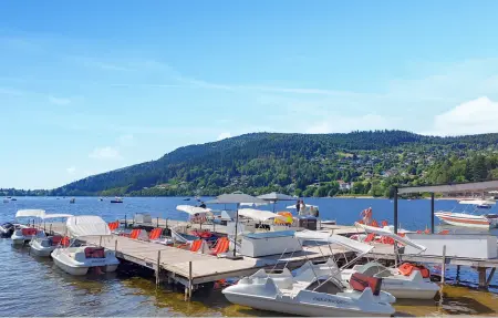 Maison 5 chambres avec sauna et jacuzzi à Gérardmer : photo 22