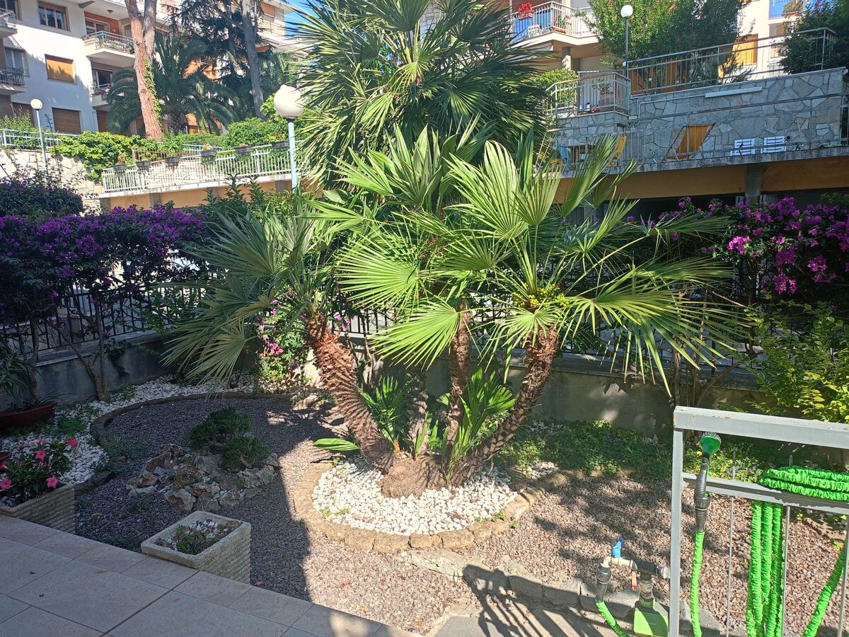 Appartement Bouganville – rez-de-jardin à 500 m de la mer - Photo 5