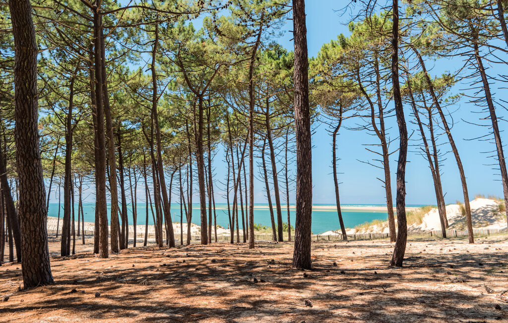 Maison 3 chambres à 500 m de la plage d'Andernos - Photo 36