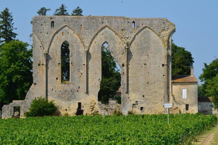 Maison Camiran – 6 personnes au cœur du vignoble bordelais - Photo 33