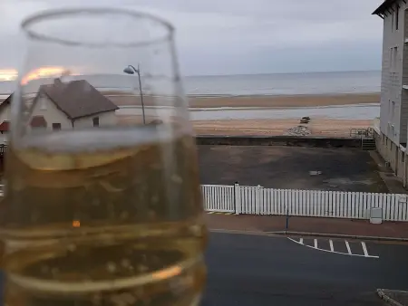 Appartement moderne face à la mer à Villers-sur-Mer : photo 16