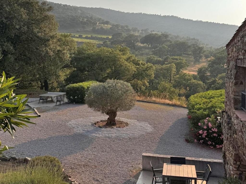 Maison provençale avec piscine chauffée, Le Plan de la Tour - Photo 32