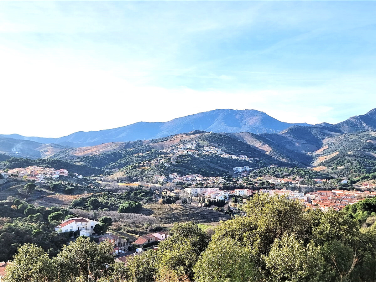 Appartement 4 pers. terrasse et garage à Banyuls - Photo 1