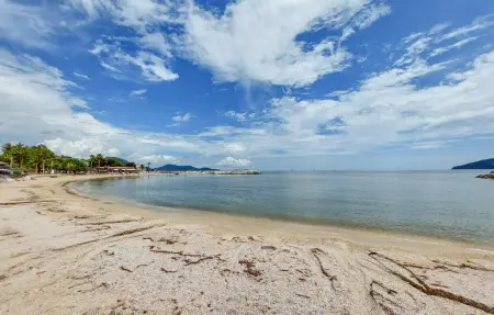 Appartement 55 m² avec terrasse près de la mer à Toulon : photo 7