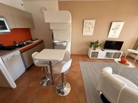 Appartement 3 pièces avec piscine, à 100 m de la plage à Le Grau-du-Roi : photo 11