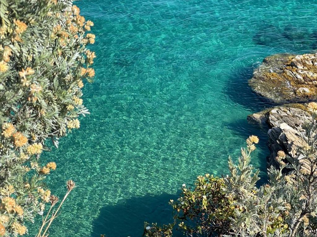 Plage, Villa avec vue, piscine et proche de la plage - Photo 37