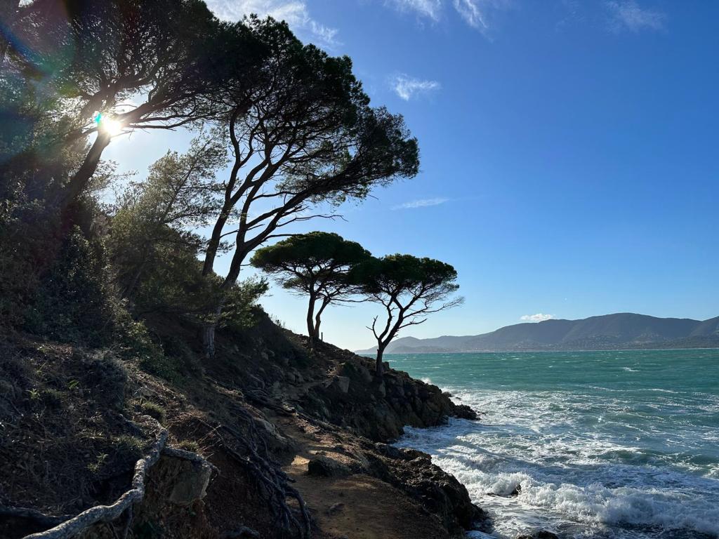 Plage, Villa avec vue, piscine et proche de la plage - Photo 40