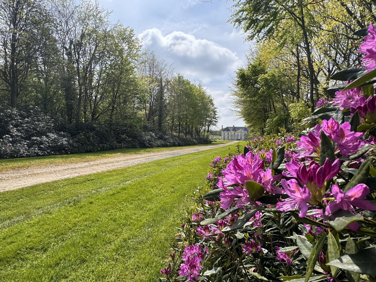 Pavillon XVIIIe siècle, parc privé 18 hectares - Photo 14