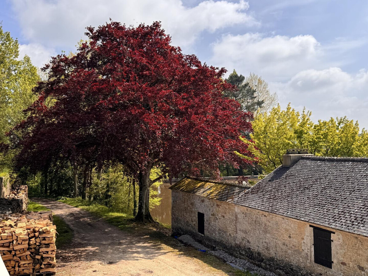 Pavillon XVIIIe siècle, parc privé 18 hectares - Photo 17