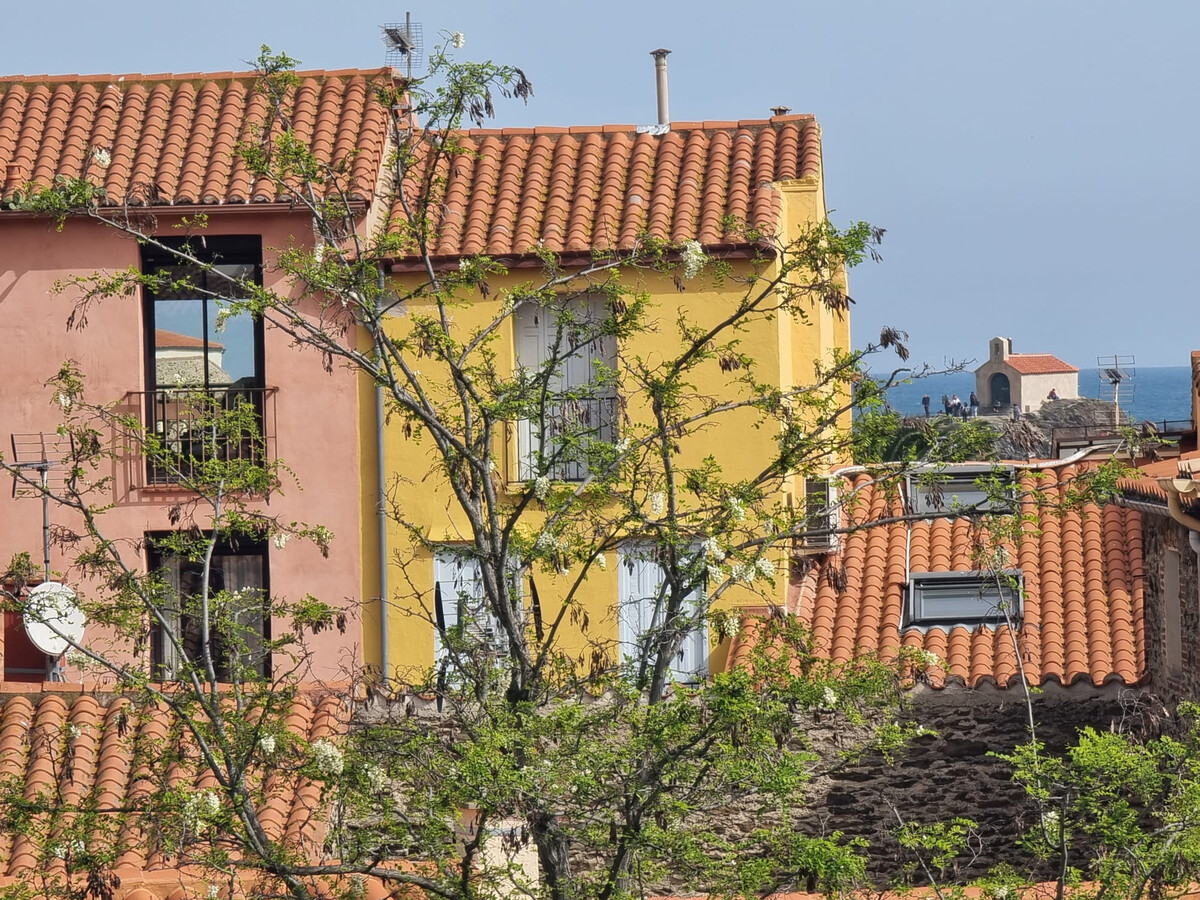 Studio Collioure, 170m plage, terrasse vue mer et parking - Photo 20
