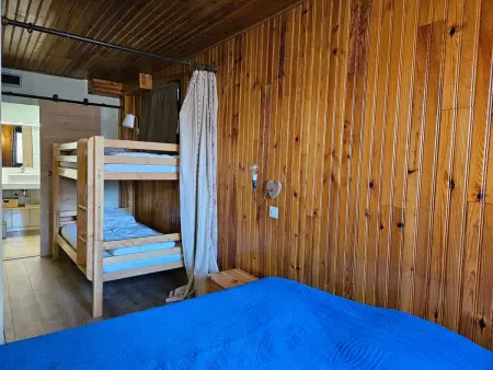 Chalet 10 pers, balcon vallée, garage à Pra-Loup : photo 3