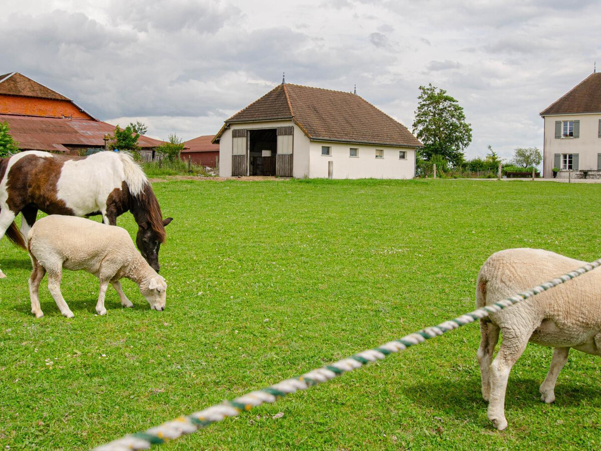 Gîte Le Verger : maison plain-pied, jardin clos, ferme pédagogique - Photo 5