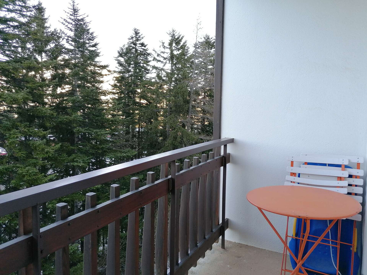 Appartement 2 pièces 6 pers, balcon vue Vallée à Pra-Loup - Photo 8