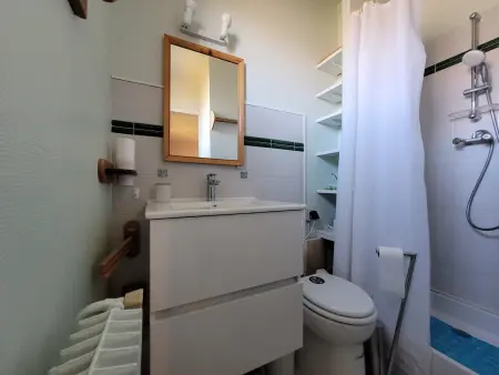 Appartement 8 pers, 4 pièces vue pistes à Pra-Loup : photo 12