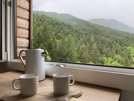 Appartement 8 pers, 4 pièces vue pistes à Pra-Loup : photo 14