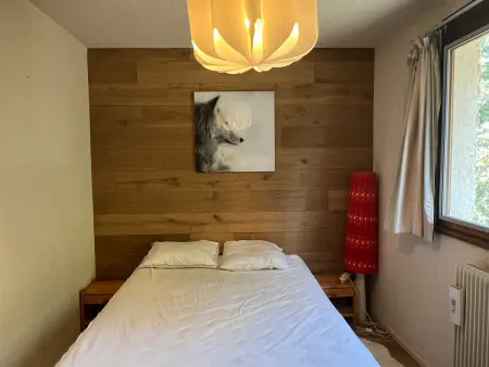 Appartement 8 pers, Pra-Loup 1600, balcon vue pistes : photo 5