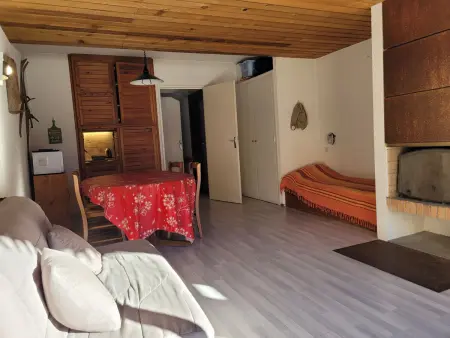 Appartement 2 pièces Pra-Loup, terrasse sud, accès direct pistes : photo 8
