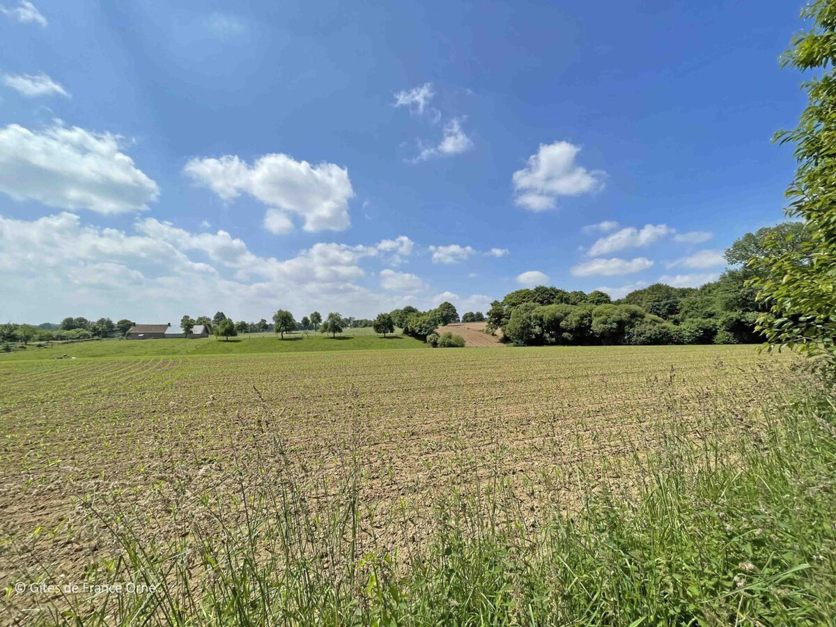 Gîte en pierre plain pied, jardin 800 m² à Mantilly - Photo 26