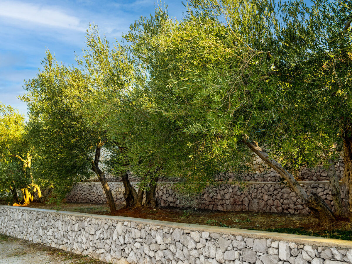 Villa Panoramica 8 pers. vue mer à Labin - Photo 68
