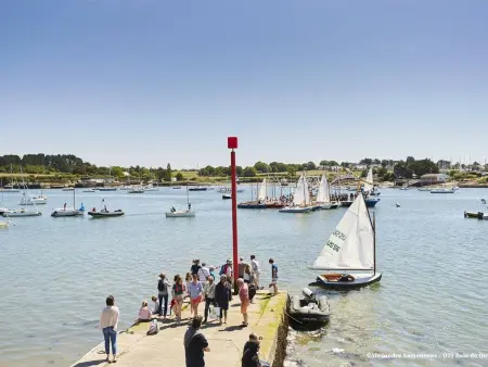 Maison charmante à Carnac, 3 pièces, jardin, à 300m de la Rivière de Crac'h : photo 15