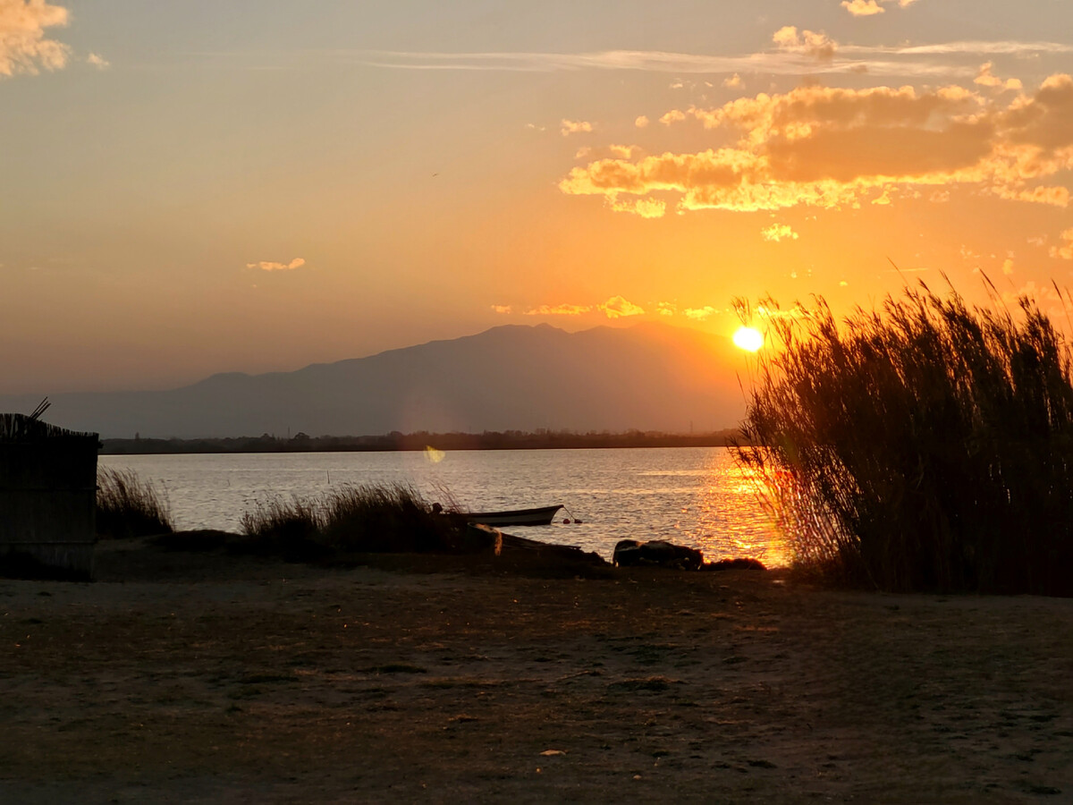 T2 cabine 45m² pieds dans l'eau à Canet-en-Roussillon - Photo 19