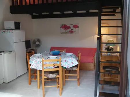 Pavillon avec jardin et terrasse à 800 m de la plage, Saint-Cyprien : photo 3