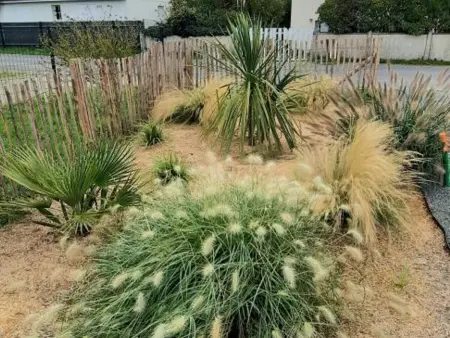 Maison plain-pied à St Jean, proche plage, 3 ch, jardin, bain nordique, animaux acceptés - Photo 24