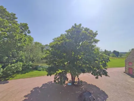 Manoir du XVème siècle avec jardin privé, cheminée et animaux acceptés - Photo 35
