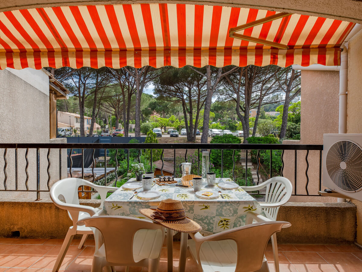 Le Soleil d'or 2 – Apt 2 pièces à 240 m de la plage - Photo 14