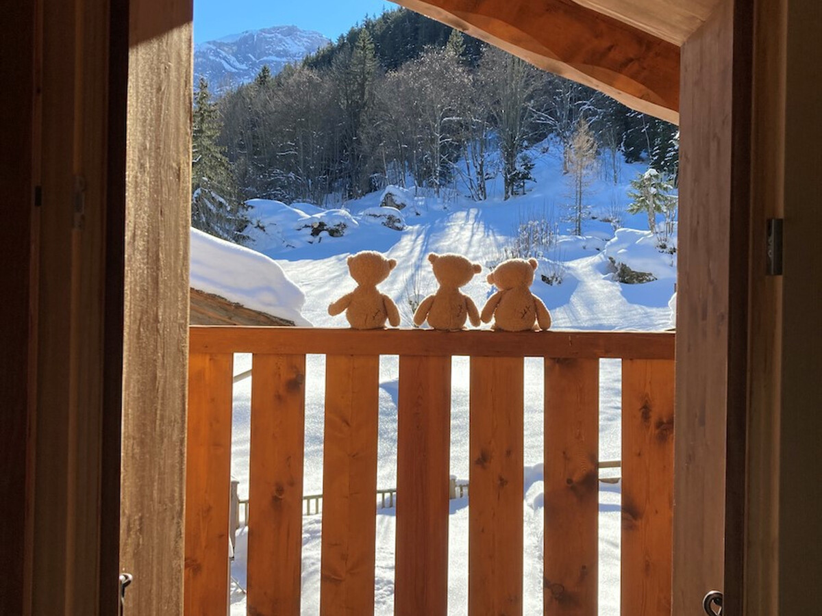 Grange rénovée 4 pers. avec balcon sud à Pralognan - Photo 12