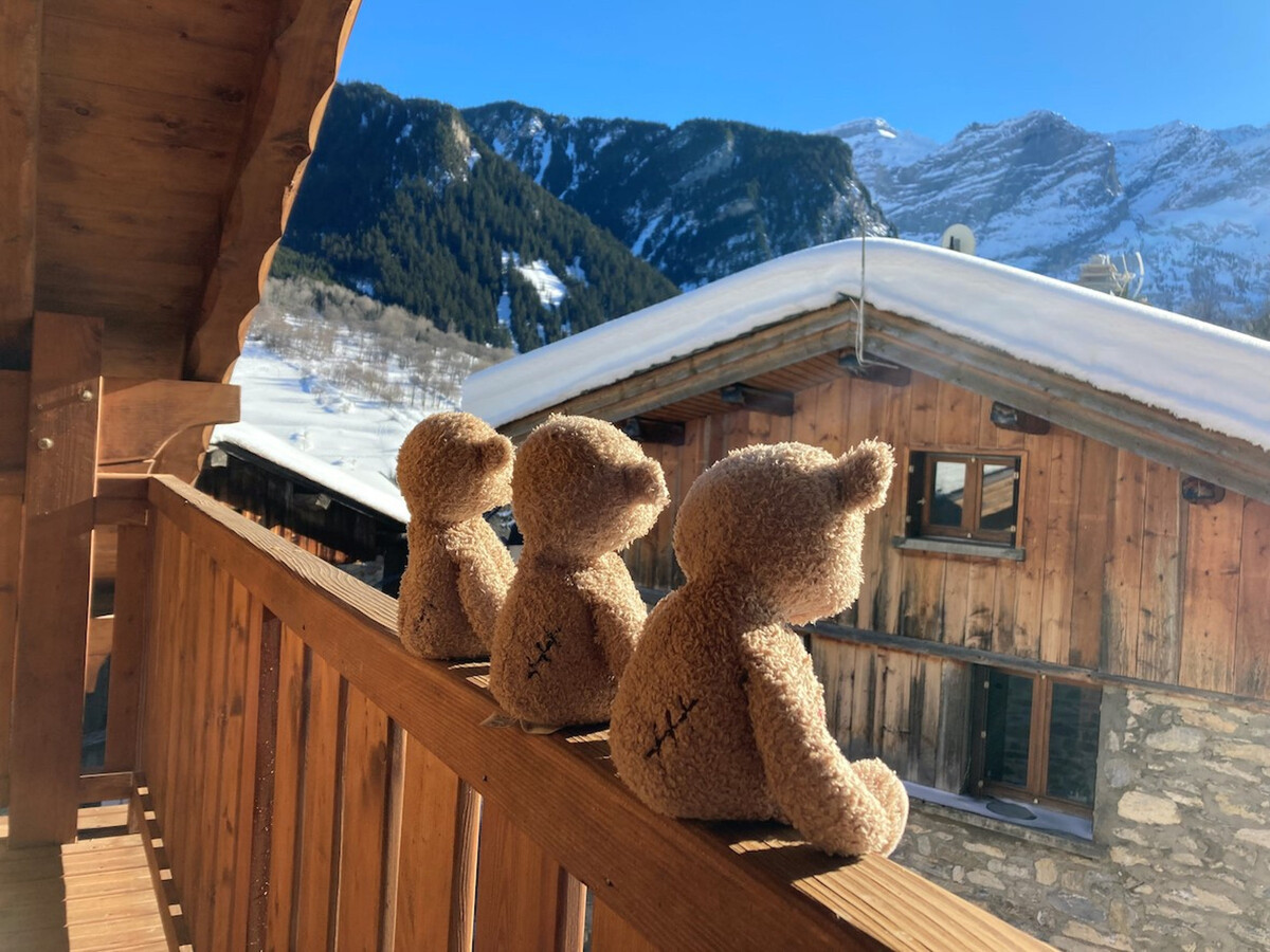 Grange rénovée 4 pers. avec balcon sud à Pralognan - Photo 19