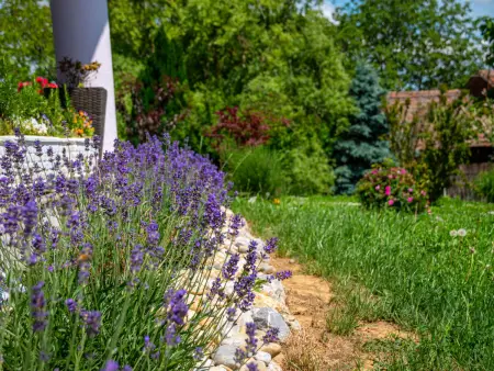Villa Lavanda Križevci : maison 7 pers. avec piscine : photo 36
