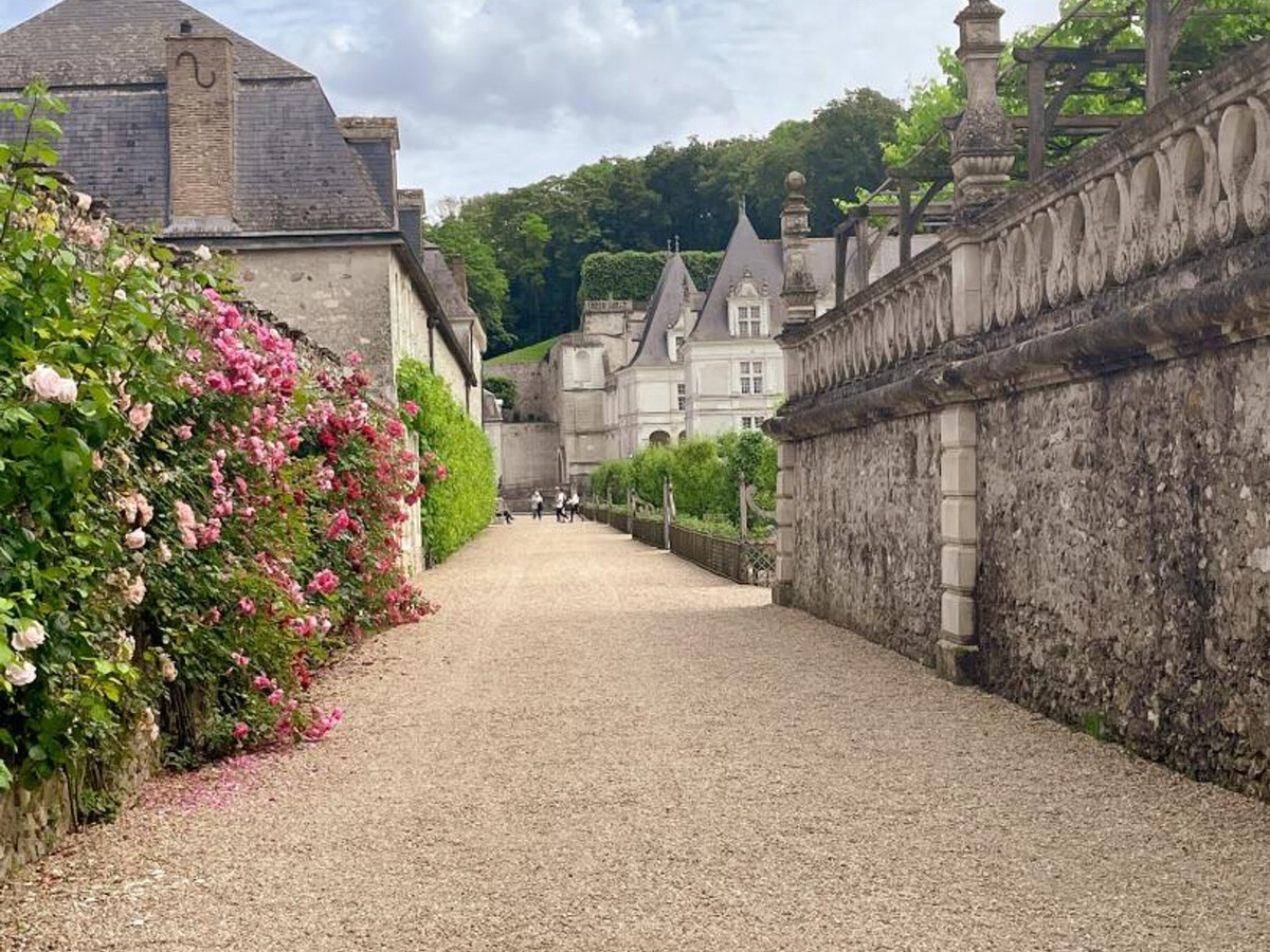 Gîte climatisé 3 pers. près Château Villandry et Loire à vélo - Photo 5