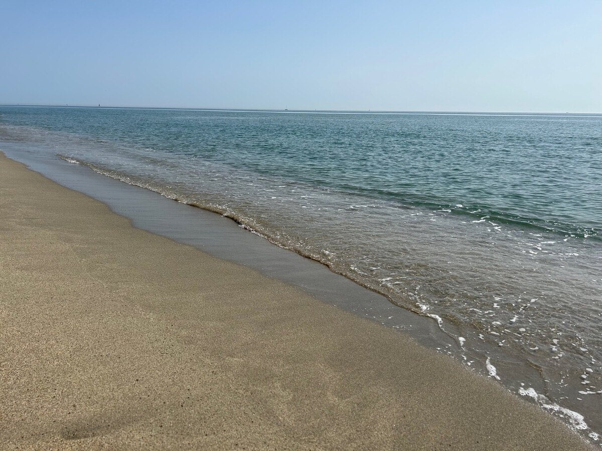 T2 mezzanine Saint-Cyprien, vue lagune et mer - Photo 18