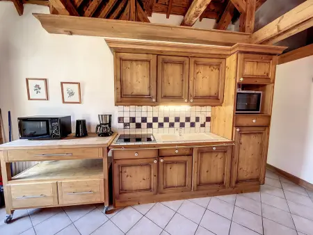 Appart. standing Chamonix, 3 ch, vue Mont-Blanc, parking : photo 3