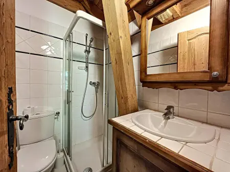 Appart. standing Chamonix, 3 ch, vue Mont-Blanc, parking : photo 6